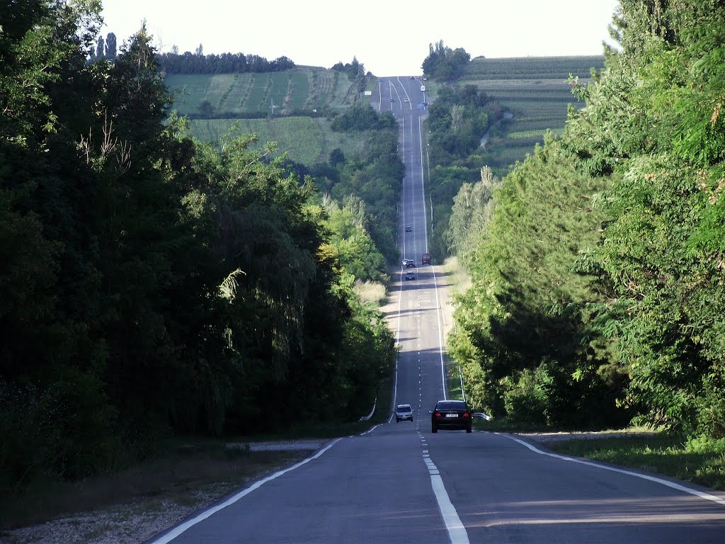 Форумы Фрокуса > М1 (Леушены - Кишинев - Дубоссары). Бывш. М1 и М21